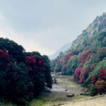 दुलहीझैं सिंगारिएको गुराँसको राजधानी तीनजुरे