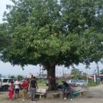 हलुका सवारी चालकले गरे दमक ट्याक्सी स्टेण्ड सरसफाई